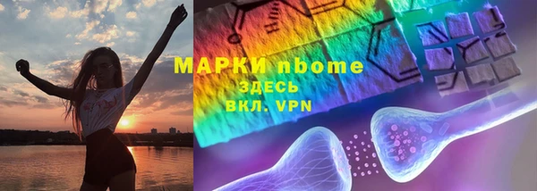 твердый Новокубанск