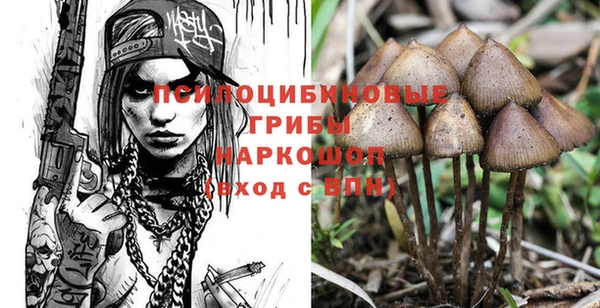 твердый Новокубанск