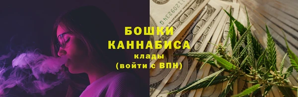 spice Новодвинск
