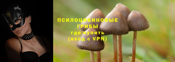 твердый Новокубанск
