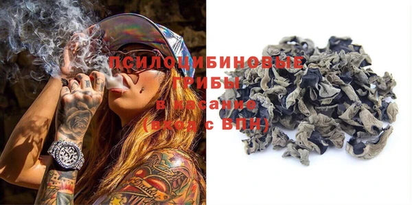 spice Новодвинск