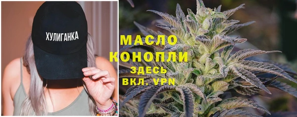 spice Новодвинск