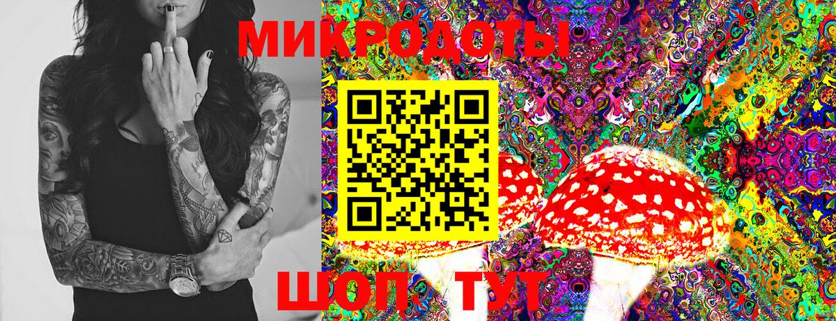 Галлюциногенные грибы прущие грибы  Галлюциногенные грибы Psilocybine cubensis  Ангарск 