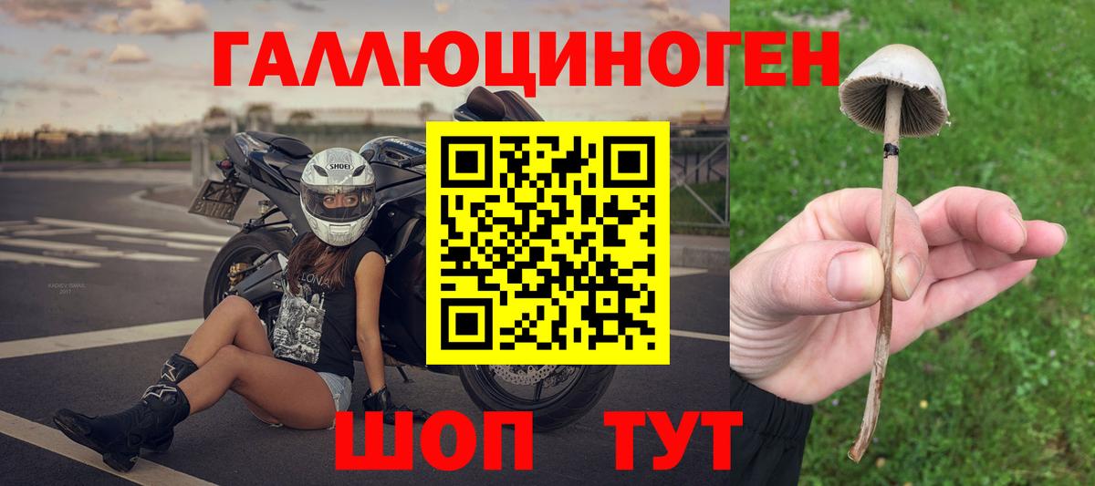 Псилоцибиновые грибы GOLDEN TEACHER Ангарск